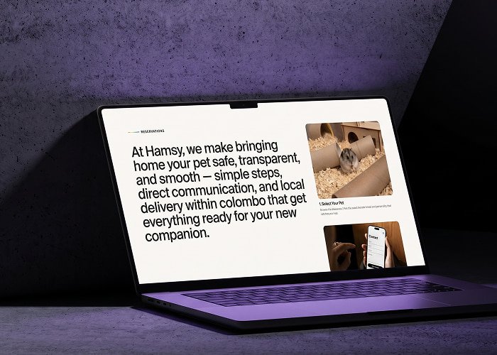Hamsy Screenshot 3